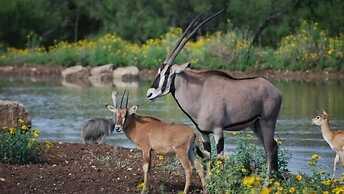 Y.O. Ranch Headquarters