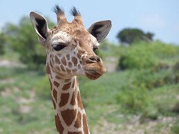 Y.O. Ranch Headquarters