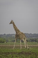 Y.O. Ranch Headquarters