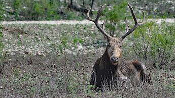 Y.O. Ranch Headquarters