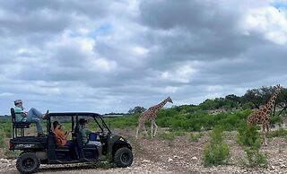 Y.O. Ranch Headquarters