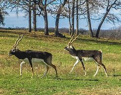 Y.O. Ranch Headquarters