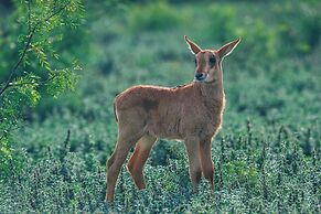 Y.O. Ranch Headquarters