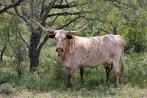 Y.O. Ranch Headquarters