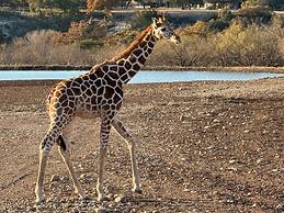 Y.O. Ranch Headquarters