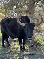 Y.O. Ranch Headquarters