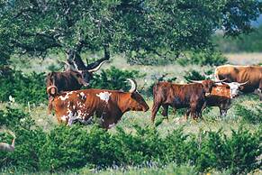 Y.O. Ranch Headquarters