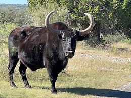 Y.O. Ranch Headquarters