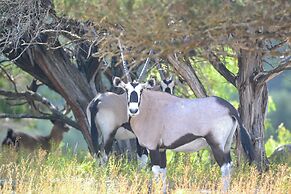 Y.O. Ranch Headquarters