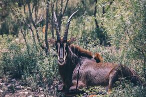 Y.O. Ranch Headquarters