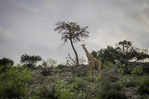 Y.O. Ranch Headquarters