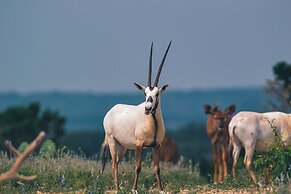 Y.O. Ranch Headquarters