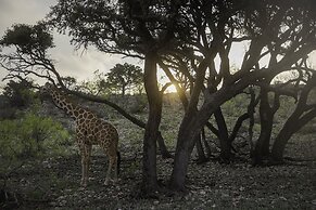 Y.O. Ranch Headquarters