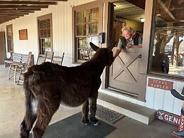 Y.O. Ranch Headquarters