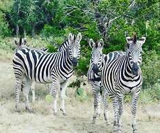 Y.O. Ranch Headquarters