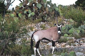 Y.O. Ranch Headquarters