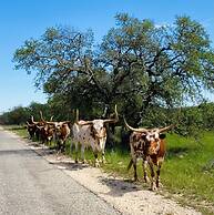 Y.O. Ranch Headquarters