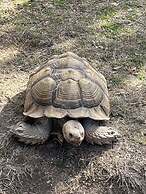 Y.O. Ranch Headquarters