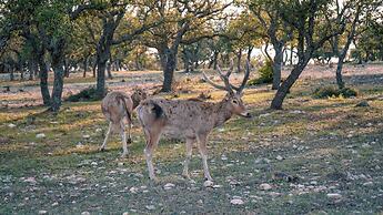Y.O. Ranch Headquarters