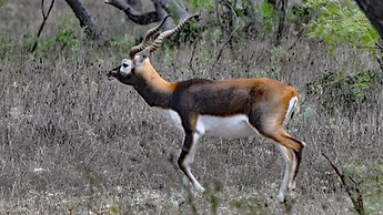 Y.O. Ranch Headquarters