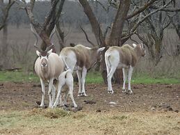 Y.O. Ranch Headquarters