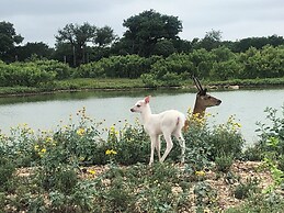 Y.O. Ranch Headquarters