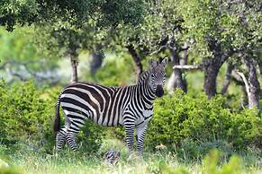 Y.O. Ranch Headquarters