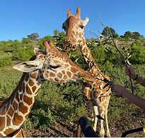 Y.O. Ranch Headquarters