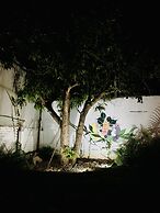 Colorada House - Hostel