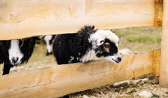 Berg- & Erlebnis-Resort MarktlAlm - Chalets & Lodges