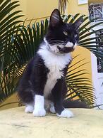 Odara Hostel & Guesthouse