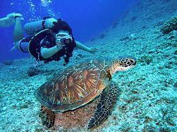 Odara Hostel & Guesthouse