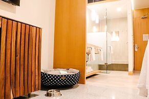 Hotel Mio Riviera Nayarit Unique & Different- Adults Only.