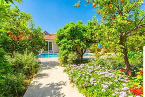 Duman Collection in Dalyan