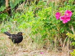 Camping les 3 Sablières