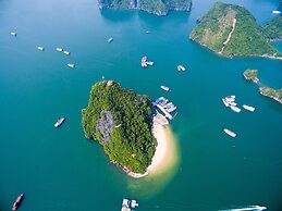 Arcady Boutique Cruise