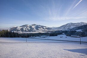 Chalet Apartment Obermanzl