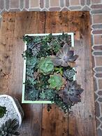 Hotel Posada Santa Elena