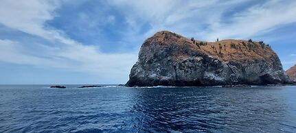 Playa Potrero - Cute Modern Containerhome w Pool for 2 People