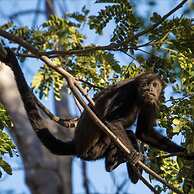 Playa Potrero - Cute Modern Containerhome w Pool for 2 People