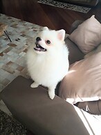 Pousada Confraria da Terra