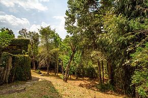 Pousada Confraria da Terra