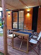 Lemon Tiny House