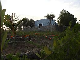 Jawai Wildlife Safari Camp