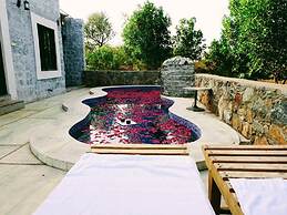 Jawai Wildlife Safari Camp