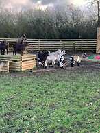 1-bed pod Cabin in Beautiful Surroundings Wrexham