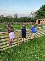 Beech Pod Cabin in Beautiful Surroundings Wrexham