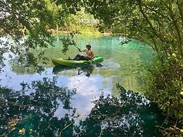 Beech Pod Cabin in Beautiful Surroundings Wrexham