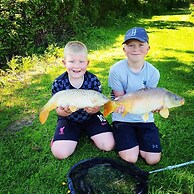 Beech Pod Cabin in Beautiful Surroundings Wrexham