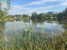 Beech Pod Cabin in Beautiful Surroundings Wrexham